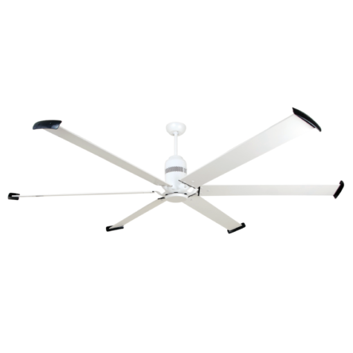 Quạt cánh lớn Fortis Mr Vũ Fan - 5