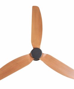 Quạt trần SKY Mr Vũ Fan - 21