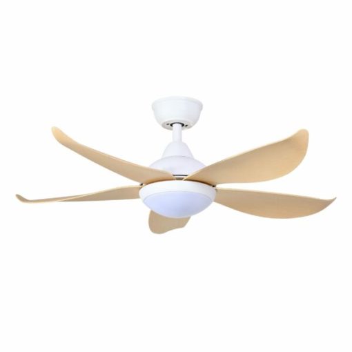 Quạt trần CORA 40 MP Mr Vũ Fan - 3
