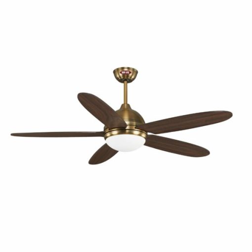Quạt trần Daisy Gold Mr Vũ Fan - 3