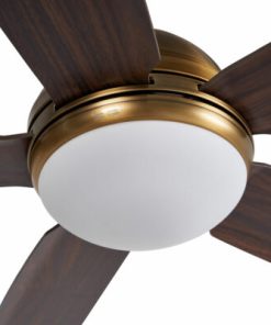 Quạt trần Daisy Gold Mr Vũ Fan - 22 Quạt trần Daisy Gold Mr Vũ Fan - 21