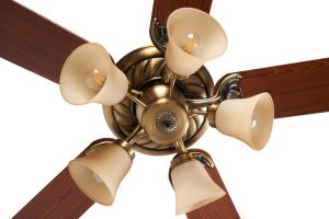 Quạt trần Lotus Gold Mr Vũ Fan - 63