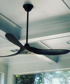 QUẠT EAGLE 60 MB Mr Vũ Fan - 31