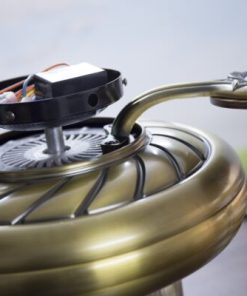 Quạt trần Lotus Gold Mr Vũ Fan - 44 Quạt trần Lotus Gold Mr Vũ Fan - 43