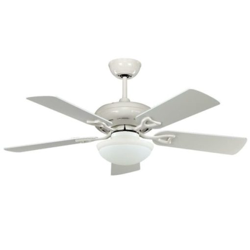 Quạt Classic WH SL Mr Vũ Fan - 1