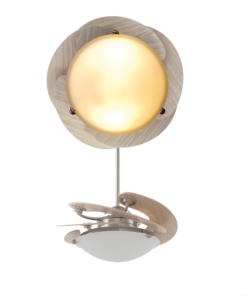 QUẠT TRẦN MR VŨ SOLE WOOD - 11