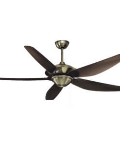 Quạt trần Strong Mr Vũ Fan - 32 Quạt trần Strong Mr Vũ Fan - 31