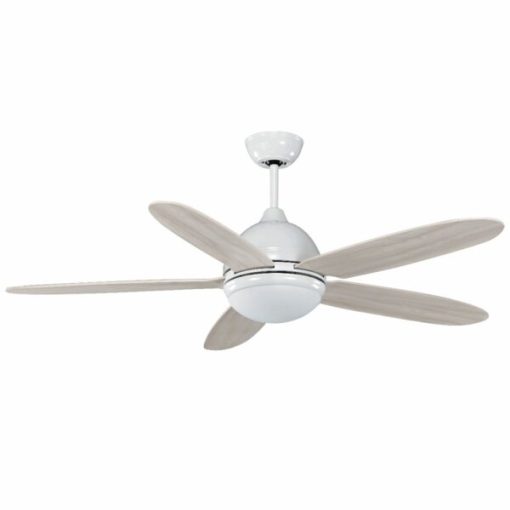 Quạt trần Daisy WH Mr Vũ Fan - 1