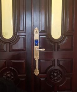 KHÓA ĐẠI SẢNH - APP WIFI KASSLER KL-979 GOLD - 17 KASSLER KL-979 GOLD