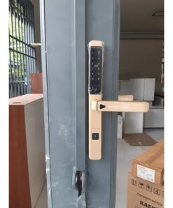 KHÓA VÂN TAY - APP WIFI KASSLER KL-599LX CHAMPAGE GOLD - 8 KASSLER KL-599LX CHAMPAGE GOLD