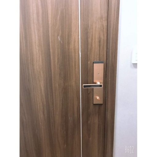 KASSLER KL-667 COPPER