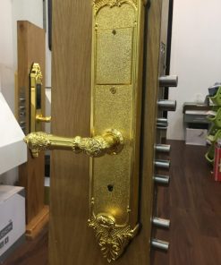 KHÓA VÂN TAY TÂN CỔ KASSLER KL-969G ( MÀU VÀNG) - 8 KASSLER KL-969G