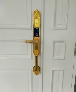 KHÓA ĐẠI SẢNH - APP WIFI KASSLER KL-979 GOLD - 16 KASSLER KL-979 GOLD