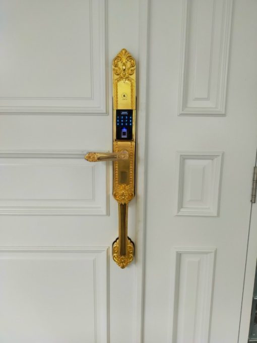 KASSLER KL-979 GOLD