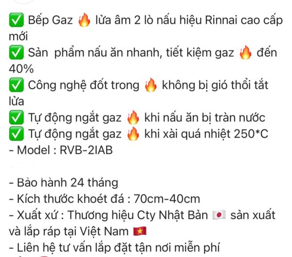 Bếp Gas Âm Rinnai RVB-2i(AB) - 75