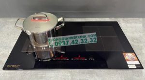 BẾP TỪ EUROSUN EU-T888GE GOLD/SILVER - 19