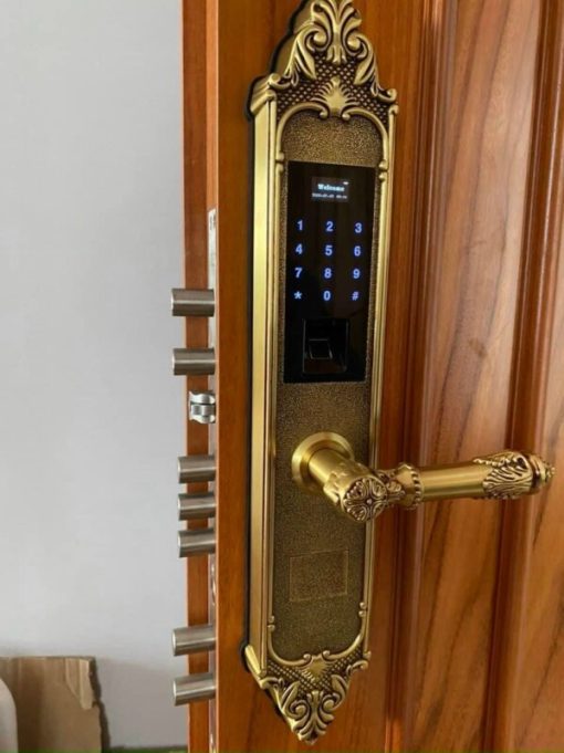 KASSLER KL-959C