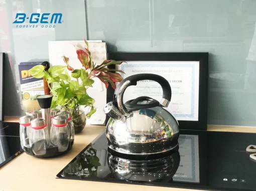 Ấm từ huýt sáo 3L B-Gem BG-666A - 9