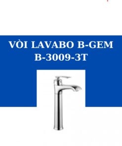 VÒI LAVABO NÓNG LẠNH B-GEM B-3009-3T