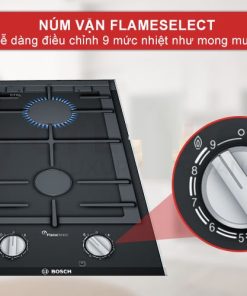 BẾP GAS ĐÔI ÂM DOMINO BOSCH PRB3A6B70 - 19 BẾP GAS ĐÔI ÂM DOMINO BOSCH PRB3A6B70