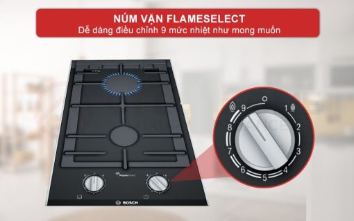 BẾP GAS ĐÔI ÂM DOMINO BOSCH PRB3A6B70