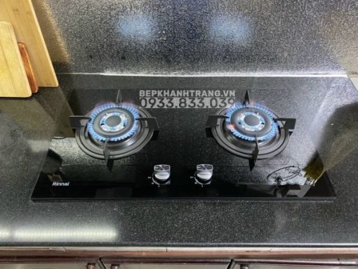 Bếp Gas Âm Rinnai RVB-2HG(B) - 15