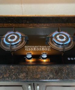 Bếp Gas Âm Rinnai RVB-2HG(B) - 61