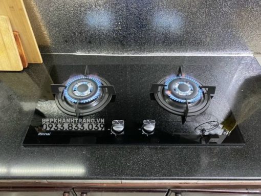 Bếp Gas Âm Rinnai RVB-2HG(B) - 27