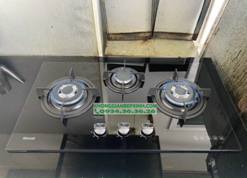 Bếp Gas Âm Rinnai RVB-3HG(B) - 3