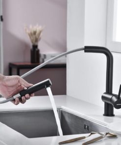 Vòi rửa chén Hafele HT21-GH1P254 577.55.390 - 39