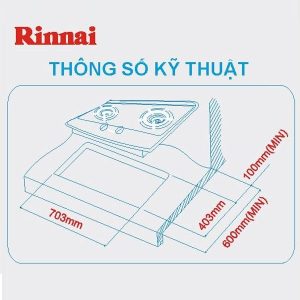 Bếp gas âm Rinnai RVB-2Gi(FG) - 19