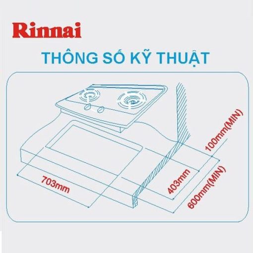 Bếp gas âm Rinnai RVB-2Gi(FG) - 5