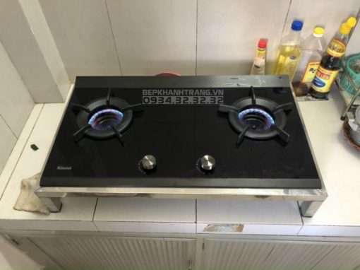 Bếp gas âm Rinnai RB-3VCGN - 15