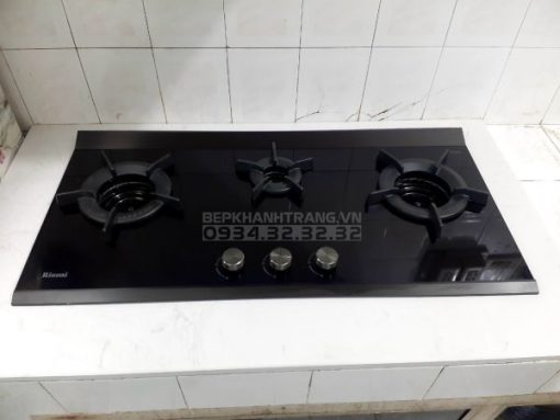 Bếp gas âm Rinnai RB-3VCGN - 11