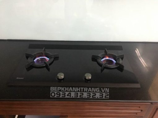 Bếp gas âm Rinnai RB-3VCGN - 9