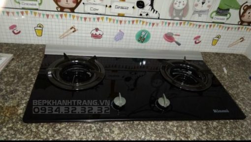 Bếp Gas Âm Rinnai RVB-2Gi(B) - 13