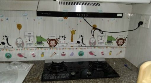 Bếp Gas Âm Rinnai RVB-2Gi(B) - 5