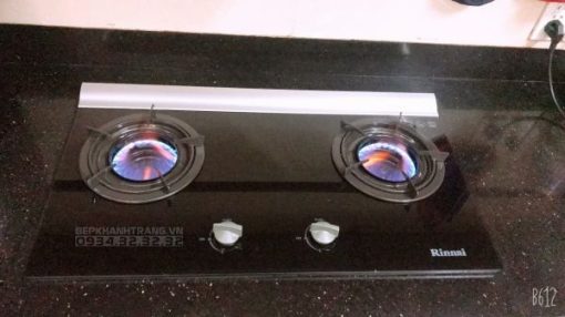 Bếp Gas Âm Rinnai RVB-2Gi(B) - 3