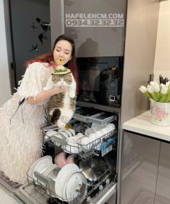 Máy rửa chén độc lập Hafele HDW-F60G 535.29.590 - 283