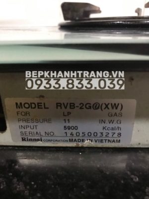 Bếp Gas Âm Rinnai RVB-2Gi(XW) - 17