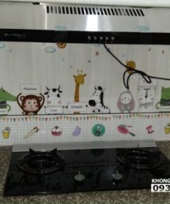 Bếp Gas Âm Rinnai RVB-2Gi(F-C) - 15