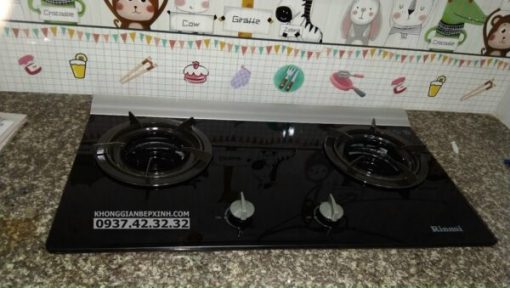 Bếp Gas Âm Rinnai RVB-2Gi(F-C) - 3