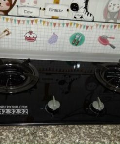 Bếp Gas Âm Rinnai RVB-2Gi(XW) - 21