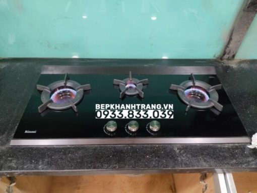 Bếp gas âm Rinnai RB-2VCGN - 27