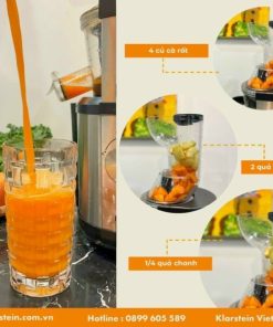 MÁY ÉP CHẬM 400W KLARSTEIN FRUITBERRY SILVER - 27