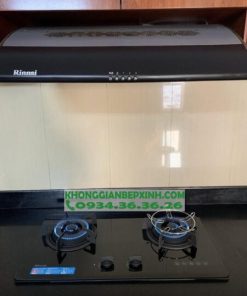 Bếp Gas Âm Rinnai RVB-2HG(B) - 75