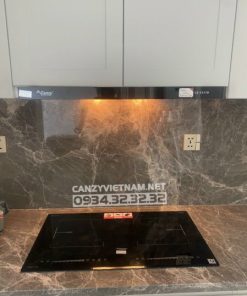 Bếp Từ Canzy CZ 52I - 55