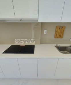 Bếp Từ Canzy CZ 52I - 59