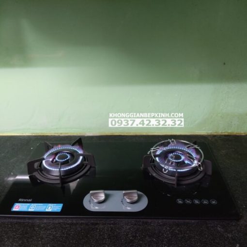 Bếp gas âm Rinnai RVB-220G(BG)/220G(B) - 13