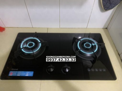Bếp gas âm Rinnai RVB-220G(BG)/220G(B) - 15